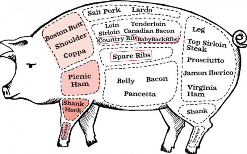 Drawing of hog parts